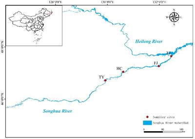Assessment of fishery management parameters for major prey fish species in the lower reaches of the Songhua River